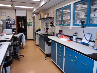 Molecular Biology Lab