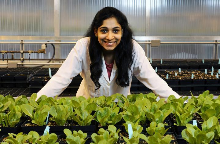 Student in greenhouse