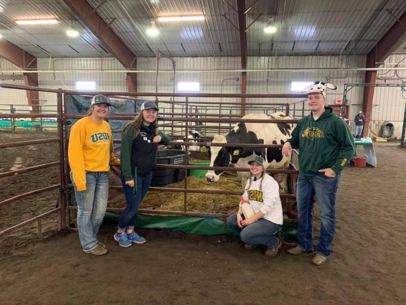 students pose with a dairy cow in a pen